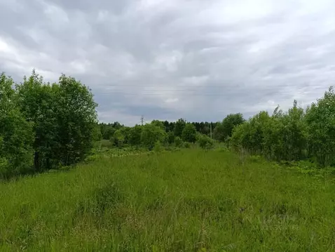 Участок в Ленинградская область, Волосовский район, Калитинское с/пос, ...