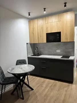 Студия Москва ул. Трехполье, 6к1 (19.5 м)