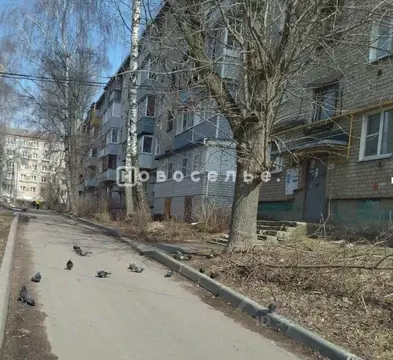 3-к кв. Рязанская область, Рязань район Строитель тер., ул. Качевская, ...