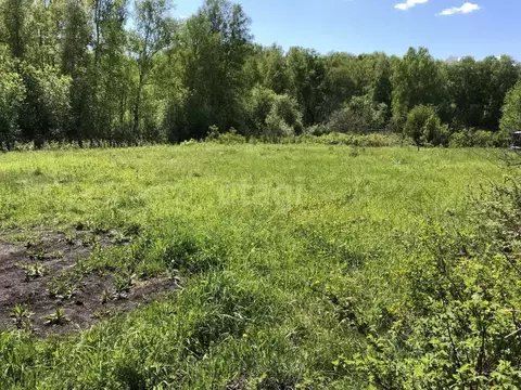 Участок в Кемеровская область, Кемеровский муниципальный округ, с. ...