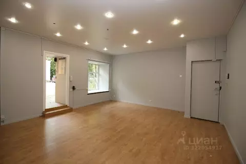 Помещение свободного назначения в Санкт-Петербург Большая Конюшенная ...