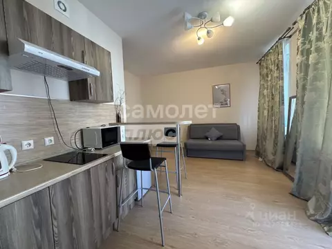 Студия Санкт-Петербург аллея Арцеуловская, 23к1 (25.5 м)