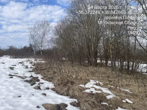 Участок в Московская область, Клин городской округ, д. Голиково  (13.1 ...