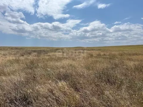 Участок в Крым, Ленинский район, с. Калиновка ул. Абденановой (6.31 ...