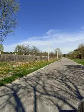 Участок в Брянская область, Навлинский район, Алешинское с/пос, с. ...