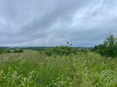 Участок в Ленинградская область, Ломоносовский район, д. Низино  (4.0 ...
