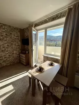 Студия Челябинская область, Миасс ул. Степана Разина, 14А (26.0 м)