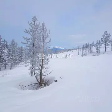 Участок в Бурятия, Иволгинский район, Сотниковское с/пос, с. ...
