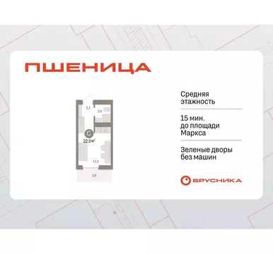 Студия Новосибирская область, Новосибирский район, Краснообск рп ...