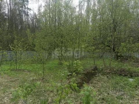 Участок в Московская область, Щелково городской округ, Планета СНТ 59 ...