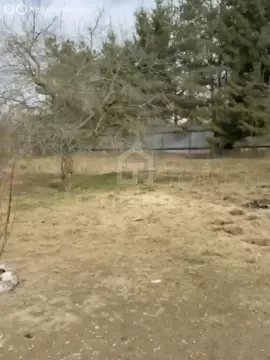Участок в Колтушское городское поселение, деревня Новая Пустошь, ...