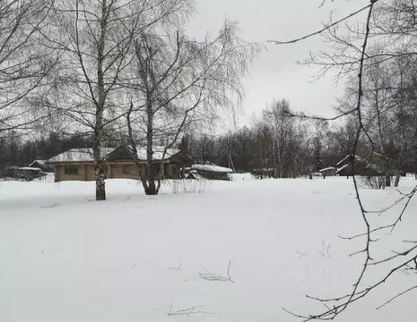Участок в Московская область, Дмитровский муниципальный округ, д. ...