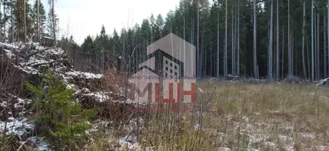 Участок в Тверская область, Конаково Южная ул. (10.0 сот.)