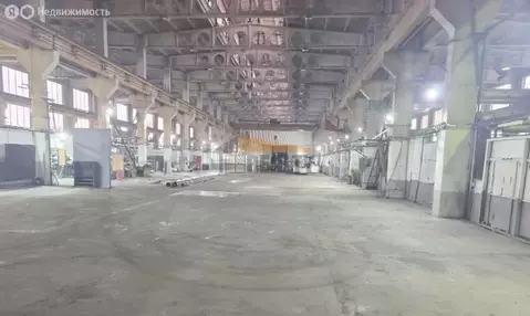 Производственное помещение (1311 м)