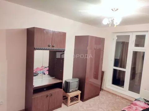 Студия Новосибирская область, Новосибирск Березовая ул., 19 (20.0 м)