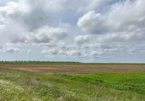 Участок в Крым, Ленинский район, с. Батальное ул. Степная (808.35 ...