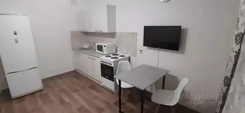 Студия Тюменская область, Тюмень ул. Александра Митинского, 3 (28.0 м)