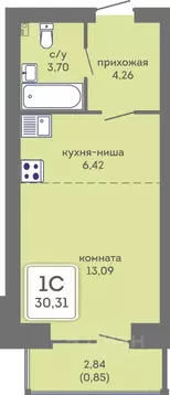 Студия Пермский край, Пермь Кировоградская ул., 28 (30.31 м)