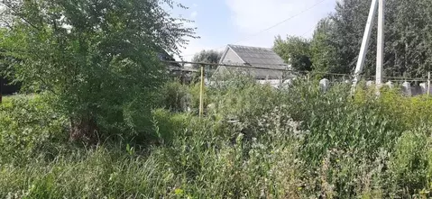 Участок в Воронежская область, с. Новая Усмань ул. Набережная (12.0 ...