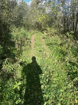 Участок в Владимирская область, Александровский муниципальный округ, ...