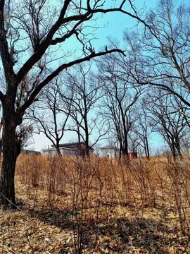 Участок в Приморский край, Находка пос. Врангель, ул. Лесная, 7 (18.53 ...