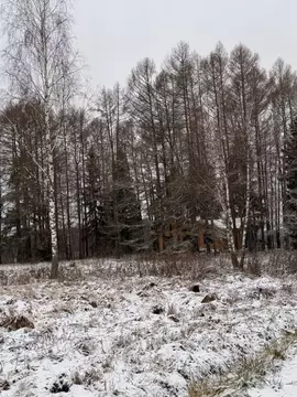 Участок в Московская область, Истра муниципальный округ, д. Алехново  ...