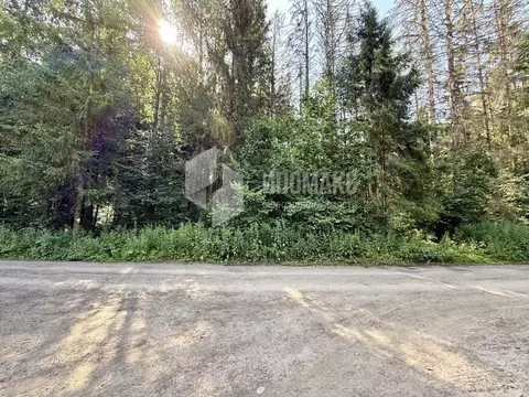 Участок в Москва Вузсервис СНТ, 151 (12.0 сот.)