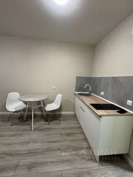 Студия Пермский край, Пермь Целинная ул., 59к1 (22.0 м)