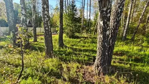 Участок в Московская область, Рузский муниципальный округ, Папино СНТ  ...
