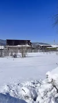 Участок в Алтай, Горно-Алтайск Шелковичная ул. (8.14 сот.)