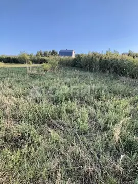 Участок в Тюменская область, Тюмень Ягодное СНТ, ул. Березовая, 150 ...