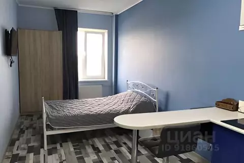 1-к кв. Ленинградская область, Никольское Тосненский район, ...