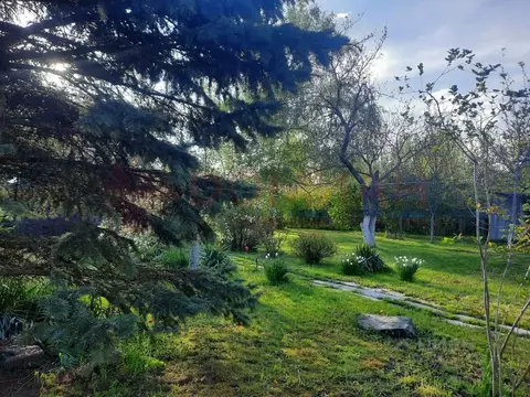 Участок в Ростовская область, Мясниковский район, Чалтырское с/пос, ...