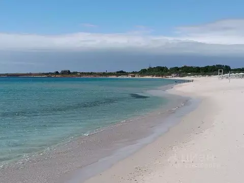 Участок в Крым, Черноморский район, Оленевское с/пос, с. Оленевка ул. ...