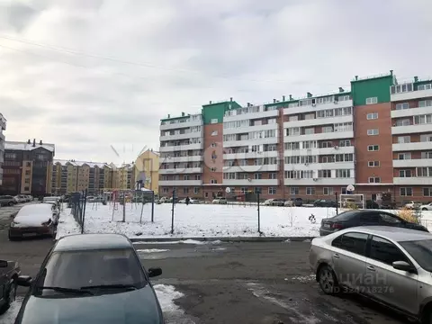 Студия Хакасия, Абакан ул. Некрасова, 45 (25.2 м)