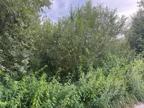 Участок в Московская область, Богородский городской округ, д. ...