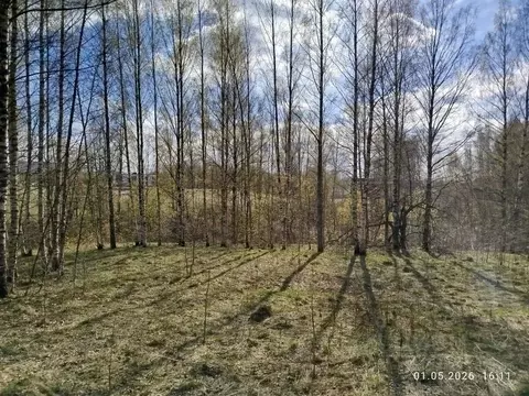 Участок в Ленинградская область, Всеволожский район, Колтушское ...