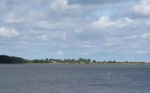 Участок в Псковская область, Гдовский район, Спицинская волость, д. ...