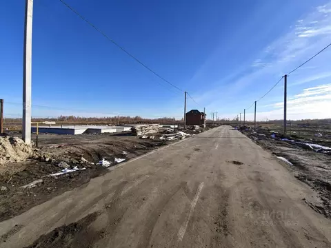 Участок в Тюменская область, Тюмень СОСН Янтарь тер., ул. Иванова (5.5 ...