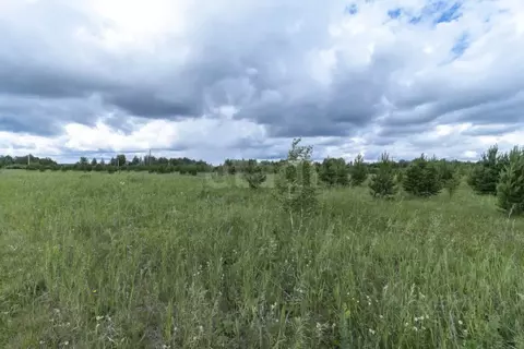 Участок в Тюменская область, Тюменский муниципальный округ, д. Елань  ...