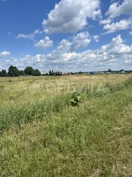 Участок в Тюменская область, Ялуторовский муниципальный округ, с. ...