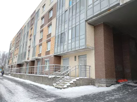 1-к кв. Санкт-Петербург просп. Юнтоловский, 53к1 (37.6 м)