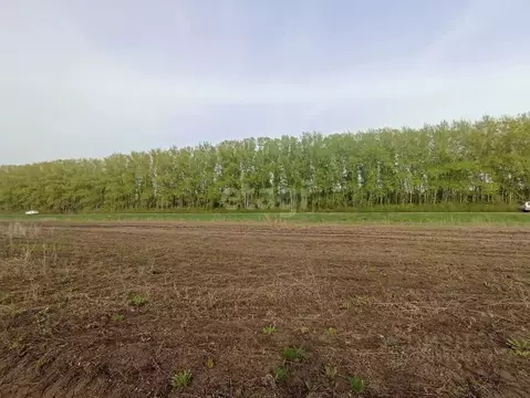 Участок в Башкортостан, Стерлитамакский район, Казадаевский сельсовет, ...