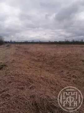 Участок в Ленинградская область, Лужский район, Скребловское с/пос, д. ...