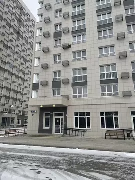 Студия Московская область, Пушкино Ярославское ш., 194к1 (27.0 м)