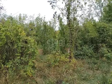 Участок в Белгородская область, Корочанский район, Афанасовское с/пос, ...