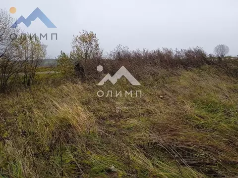 Участок в Вологодская область, с. Спасское  (16.0 сот.)