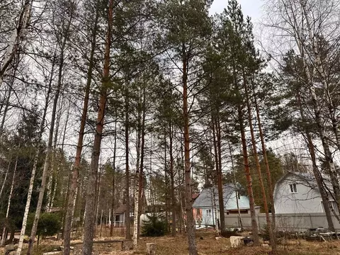 Участок в Ленинградская область, Выборгский район, Рощинское городское ...