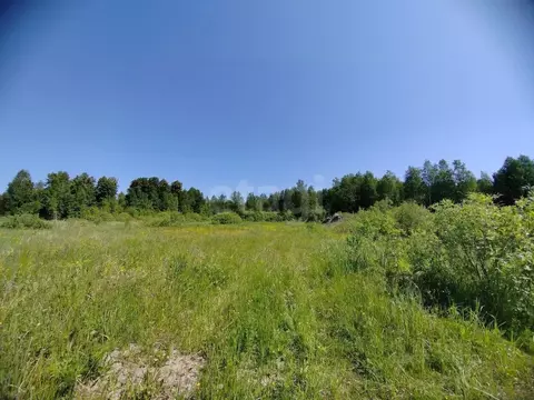 Участок в Свердловская область, Слободо-Туринский район, ...