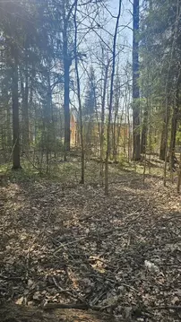 Участок в Московская область, Пушкинский городской округ, д. Могильцы, ...